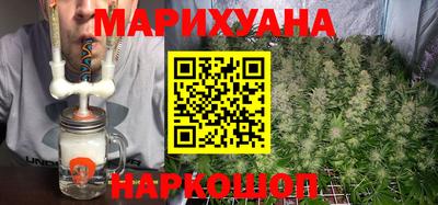 крисы Кулебаки
