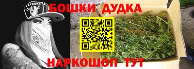 крисы Кулебаки