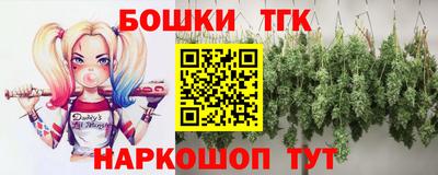 крисы Кулебаки