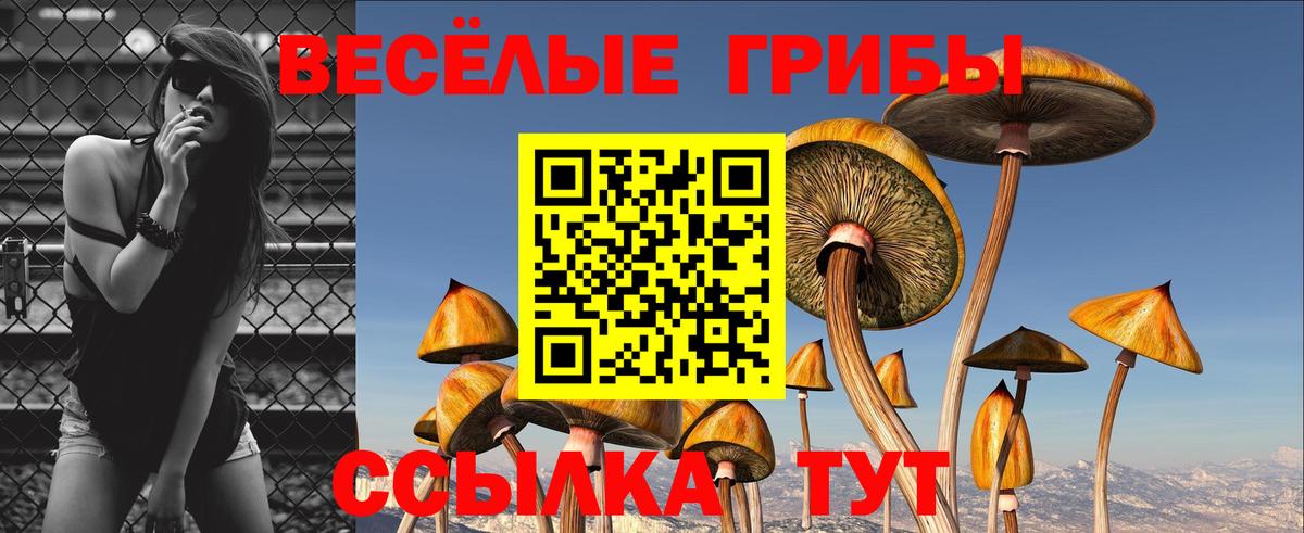 Галлюциногенные грибы Cubensis Краснодар