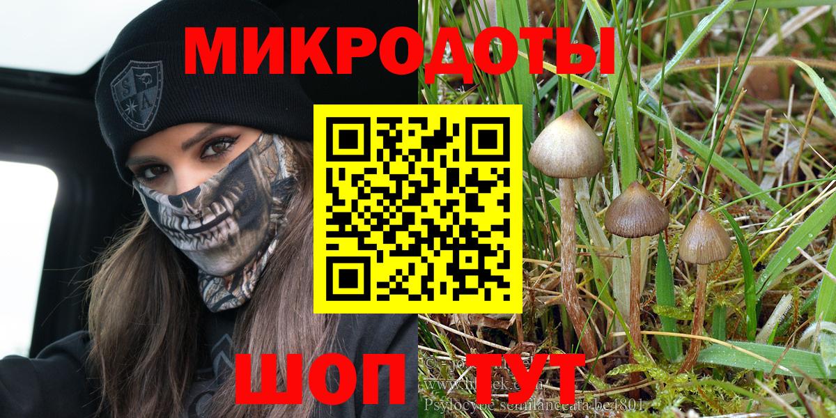 Псилоцибиновые грибы мухоморы  Вход с VPN  Псилоцибиновые грибы Psilocybine cubensis  Краснодар 
